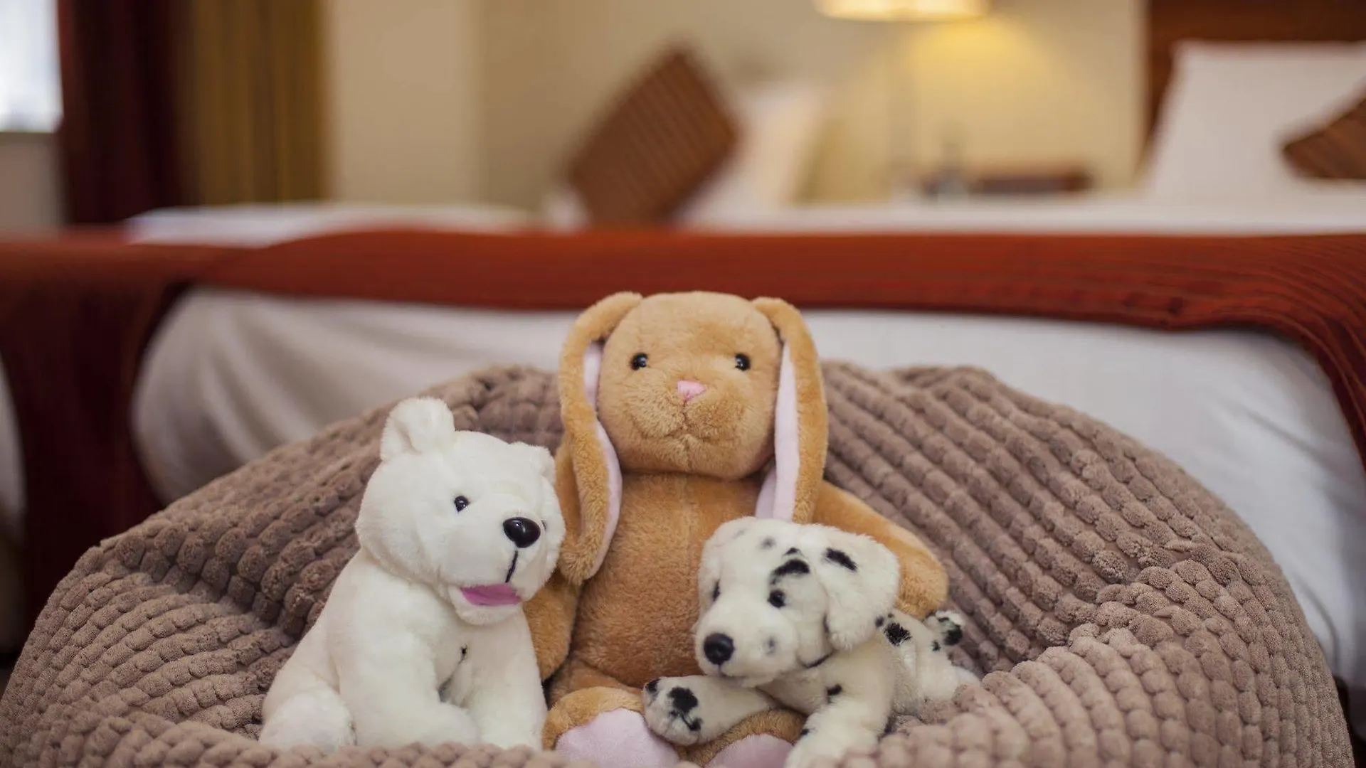 ****  Cassidys Hotel Dublin İrlanda